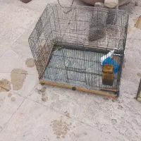 قفس‌خالی‌عروس