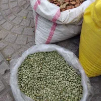 خریدوفروش بذر نخودفرنگی وباقلا برکت