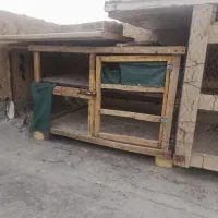 قفس چوبی|لوازم جانبی حیوانات|شاهینشهر, شهرک ردانی پور|دیوار