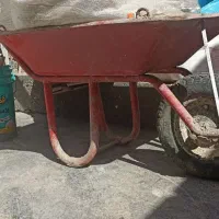 فرقون