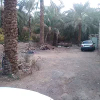 ۵۷۰ زمین باغی  دو سوئیت نیم ساعت اب صاحب الزمان ۱۸