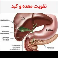 بهترین درمان برای پاکسازی|آرایشی، بهداشتی، درمانی|قم, شهرک مهدیه (مدرس)|دیوار