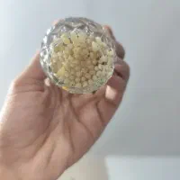 حلزون|خزنده|سنندج, |دیوار