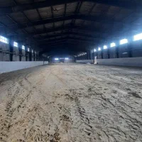 کلاس های آموزش سوارکاری