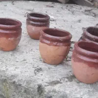 گلدونی کوچیک مخصوص کاکتوس|گل و گیاه طبیعی|احمدسرگوراب, |دیوار