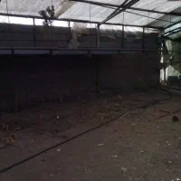 قفسه گالوانیزه|عمده‌فروشی|کرج, شهرک جهان‌نما|دیوار