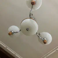 دوعددلوسترسه شاخه بزرگ