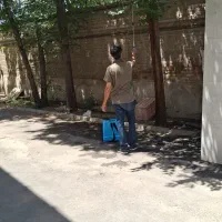 سمپاشی تضمینی ساس وسایرحشرات