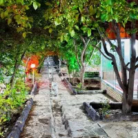 کافه رستوران نگین|استخدام خدمات فروشگاه و رستوران|گلبهار, شهر جدید گلبهار|دیوار