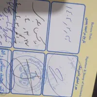 سگ خونگی دستی|سگ|گلستان (تهران), |دیوار