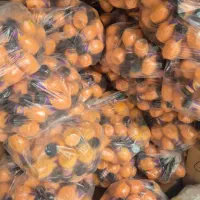 پودر زعفران درجه یک