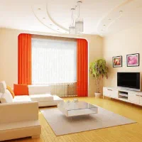 خانم‌جهت امور منزل بجز اشپزی