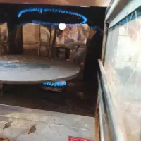 فطیرساز پیتزا ساز|اجاق گاز و لوازم برقی پخت‌وپز|بم, |دیوار