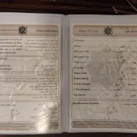 سنتور صادقی آذر|سازهای سنتی|آستانه اشرفیه, |دیوار