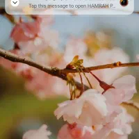 سیم کارت رند همراه اول قدیمی