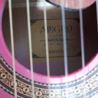 گیتار ALEGRO|گیتار، بیس، امپلیفایر|مشهد, شهید شهریاری|دیوار