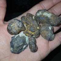 فروش شهاب سنگ