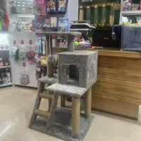 اسکرچر جای خواب گربه|لوازم جانبی حیوانات|تهران, کوی بیمه|دیوار