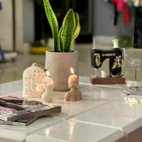 بانوان مدلینگ مزون حقوق روزانه