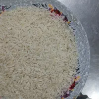 برنج فجرسوزنی اعلا هم ردیف طارم