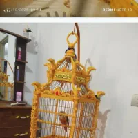 پرنده|پرنده|پاکدشت, شهرک امام رضا|دیوار