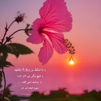 نگهبان یا سرایدار میشم