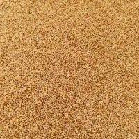 ارزن اوکراینی ومحلی|لوازم جانبی حیوانات|آفتاب, |دیوار