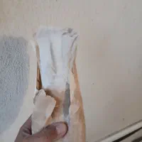 کفتر پلاکی و زرد رسمی دم سفید|پرنده|کرمان, |دیوار