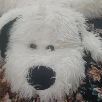 عروسک خرسی در حد نو تمیز تمیز دوتا باهم ۷۰۰ تومن|اسباببازی بچه|رشت, نظری|دیوار