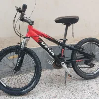 دو چرخه ویوا اصل