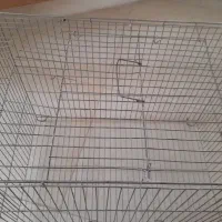 قفس پرنده