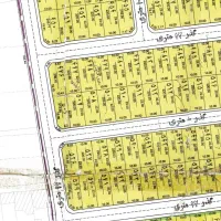 کوی-نخلستان