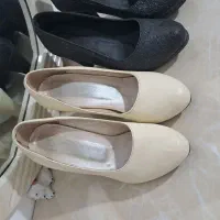 کفش مجلسی