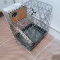 قفس‌عروس‌هلندی