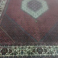 دوعدد فرش لاکی ۱۲ متری ..|فرش|اسفرورین, |دیوار