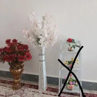 ۲تا گل قشنگ