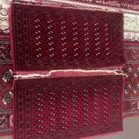 فروش قارچین|فرش|گنبد کاووس, |دیوار