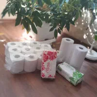 فروش دستمال کاغذی اقتصادی|مواد شوینده و دستمال کاغذی|تهران, سازمان برنامه شمالی|دیوار