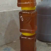 عسل