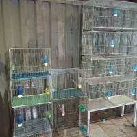 قفس جوجه پران ۴ طبقه چرخ دار و قفس کوچک