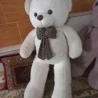 دوتا خرس بزرک