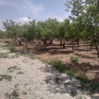 ۳۰۰مترباغچه دردماوندجابان سندتک برگ|فروش زمین و ملک کلنگی|تهران, افسریه شمالی|دیوار