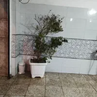 گلدان گل طبیعی