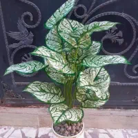 ۳ تا گلدون مصنوعی فوقالعاده زیبا و پرطرفدار