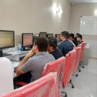 اصولی یاد بگیرید حرفه ای وارد بازارکار شوید