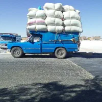 کاه گندم درجه یک