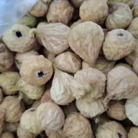 انجیر استهبان|خوردنی و آشامیدنی|شیراز, داریون|دیوار