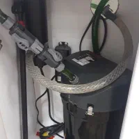 آکواریوم دلسا|ماهی|یزد, |دیوار