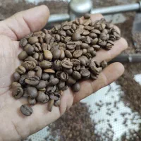 برشته کاری وپخش قهوه زیر قیمت بازار بزرگ.