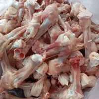 غذای سگ